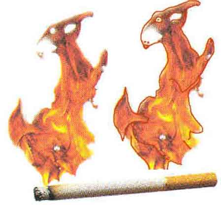 Image subliminale 76