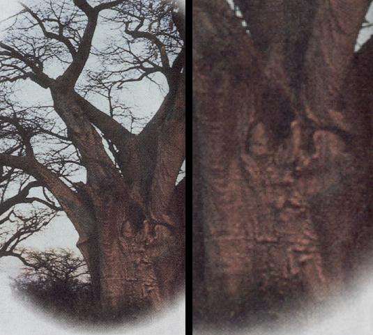 Subliminal image 113