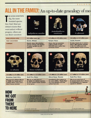 Time, August 23rd, 1999, up from the apes 1