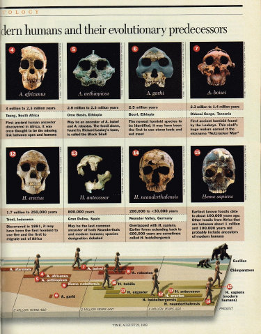 Time, August 23rd, 1999, up from the apes 2