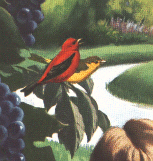 Image originale de Maxwell�1